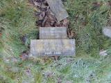 image of grave number 725095